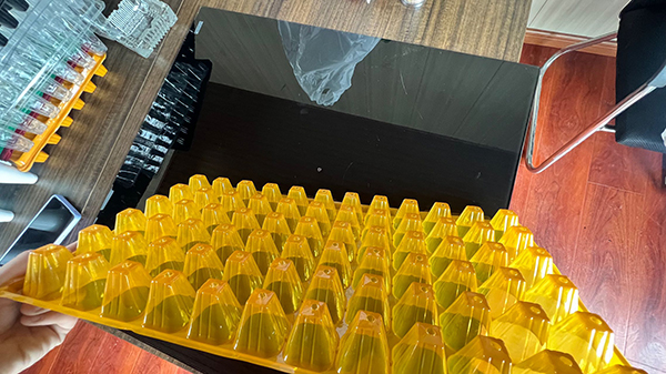 山东小蝌蚪视频污黄片材 山东小蝌蚪视频污黄片材